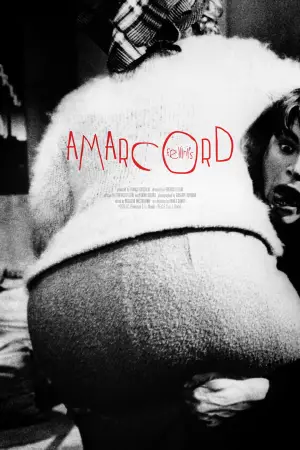 Poster to the movie "Amarcord" #752347
