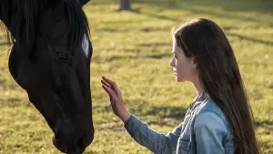 Backdrop to the movie "Black Beauty" #179858