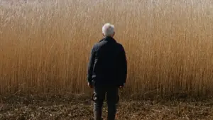 Backdrop to the movie "Reedland" #790218