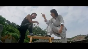 Backdrop to the movie "The Young Master" #432277