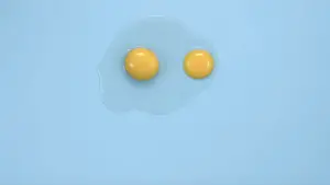 Backdrop to the movie "The Substance" #531228