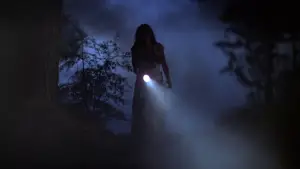 Backdrop to the movie "The Return of the Texas Chainsaw Massacre" #896573