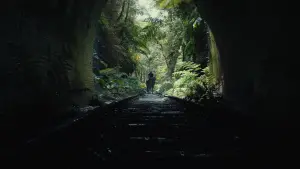 Backdrop to the movie "Kingdom of the Planet of the Apes" #315158