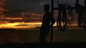 Backdrop to the movie "Forrest Gump" #528565