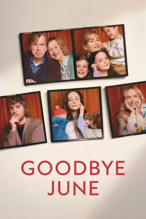 Poster to the movie "Goodbye June" #562562
