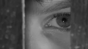 Backdrop to the movie "The Trial" #217784