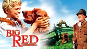 Backdrop to the movie "Big Red" #743543