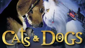 Cats & Dogs