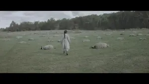 Backdrop to the movie "Sorcery" #475585