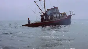 Backdrop to the movie "Jaws" #768247