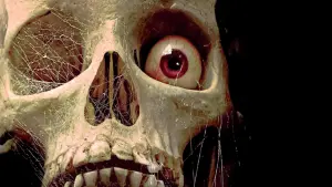 Backdrop to the movie "Tales from the Crypt" #362893