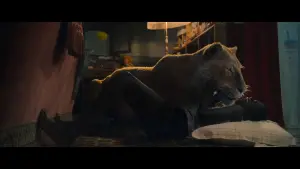 Backdrop to the movie "The Life Ahead" #266742