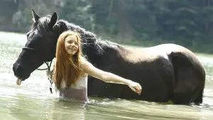 Backdrop to the movie "Windstorm" #673033