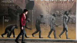 Backdrop to the movie "Warm Bodies" #690365