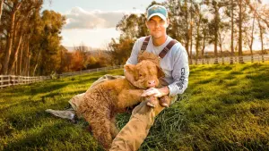 Watch film The Biggest Little Farm | Official Trailer