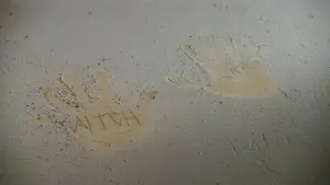 Backdrop to the movie "Silent Hill" #772336