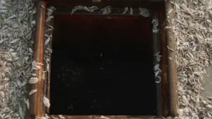 Backdrop to the movie "Buoyancy" #649144