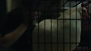 Backdrop to the movie "The Social Network" #588890