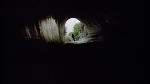 Backdrop to the movie "Brick" #379168