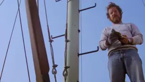 Backdrop to the movie "Jaws" #768231