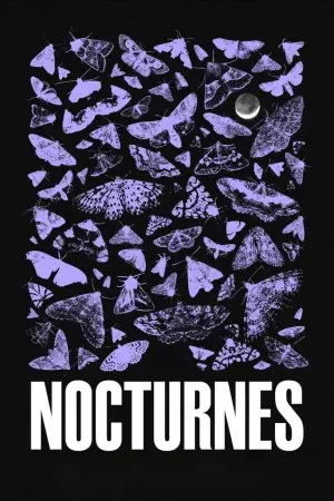 Nocturnes