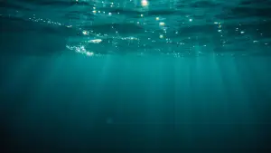 Backdrop to the movie "At Sea" #786894