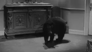 Backdrop to the movie "The Exterminating Angel" #751868