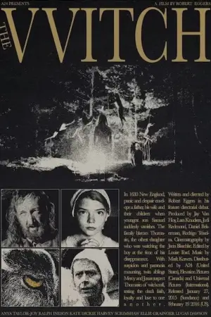 Poster to the movie "The Witch" #600330
