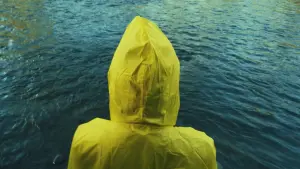 Backdrop to the movie "Dispositions" #492152