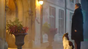 Backdrop to the movie "The Eternal Daughter" #379800