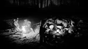 Backdrop to the movie "Hundreds of Beavers" #756255