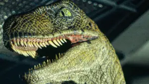 Backdrop to the movie "Jurassic Park" #598064