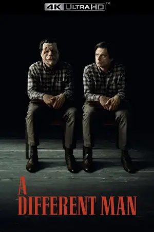 Poster to the movie "A Different Man" #592631