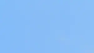 Backdrop to the movie "Irreversible" #614226