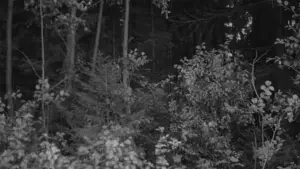 Backdrop to the movie "Mirror" #751455