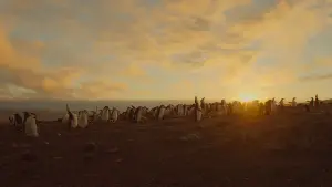 Backdrop to the movie "Earth: One Amazing Day" #382401