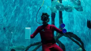 Backdrop to the movie "Mermaid" #767197