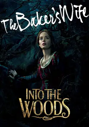 Poster to the movie "Into the Woods" #879628