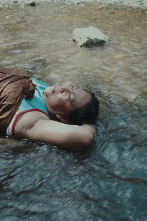 Poster to the movie "A Distant Call" #775656