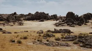 Backdrop to the movie "The Good, the Bad and the Ugly" #582100