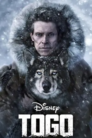 Poster to the movie "Togo" #720652