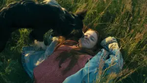 Backdrop to the movie "Psoty" #543513