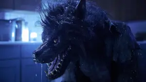 Backdrop to the movie "Werewolves" #614135