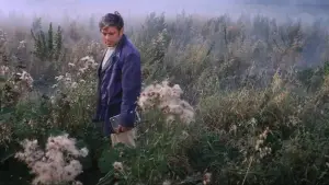 Backdrop to the movie "Solaris" #731544