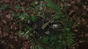 Backdrop to the movie "Hamnet" #760836