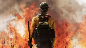 Backdrop to the movie "Only the Brave" #375084