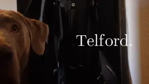 Backdrop to the movie "Telford." #770409