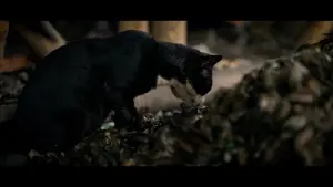 Backdrop to the movie "The Atlantis Mussels" #367118