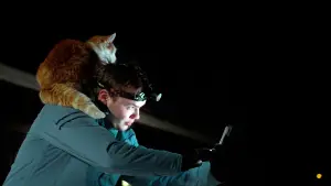 Backdrop to the movie "Folktales" #536099