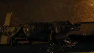 Backdrop to the movie "Nickel Boys" #598731